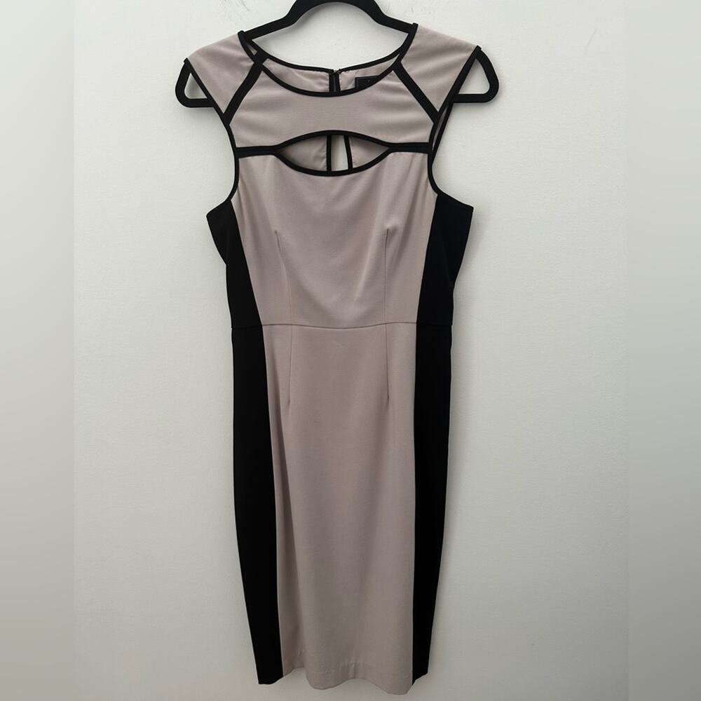 BCBG MaxAzria Kelsee Dress Black and Light Pink Sheath Cocktail Dress Size 4